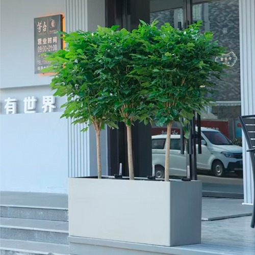 Jardineras Ornamentales - 2